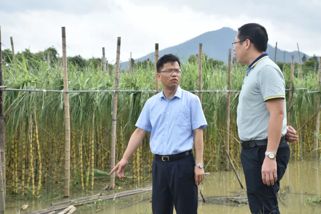 微信图片_20180920113603.jpg 微信图片_20180920113603.jpg