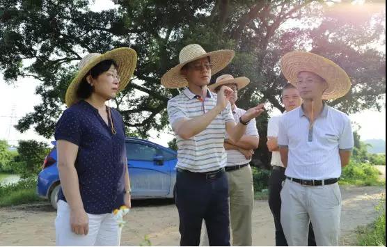 微信图片_20190604094141.jpg 微信图片_20190604094141.jpg