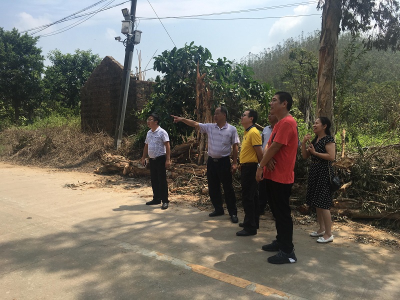 图片11.jpg 图片11.jpg