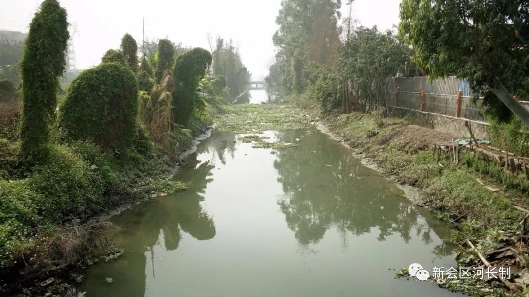 微信图片_20190305144123.jpg 微信图片_20190305144123.jpg