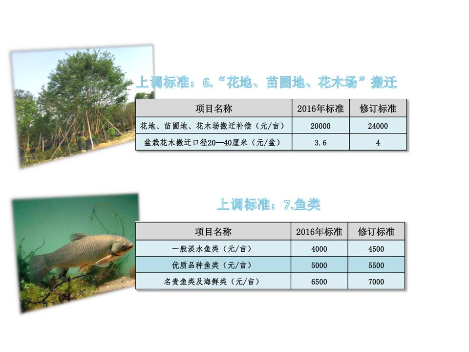 幻灯片5.JPG