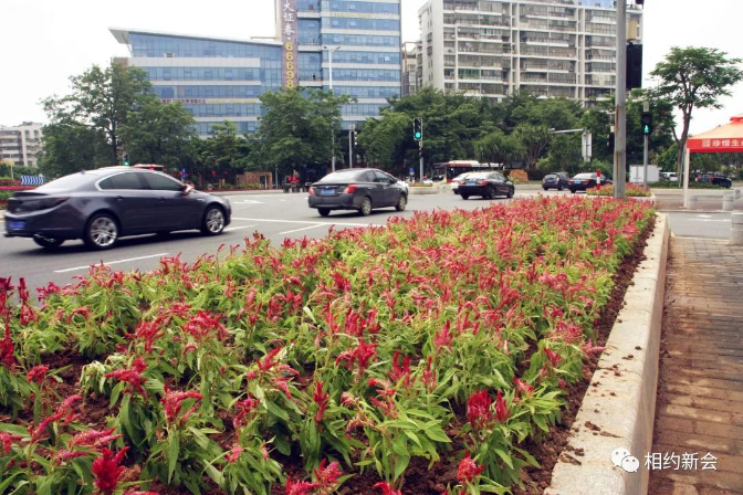 微信图片_20201013165228.jpg