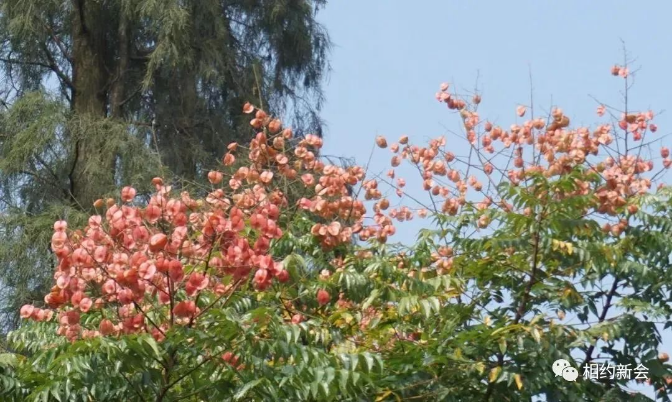 微信图片_20201019115245.jpg