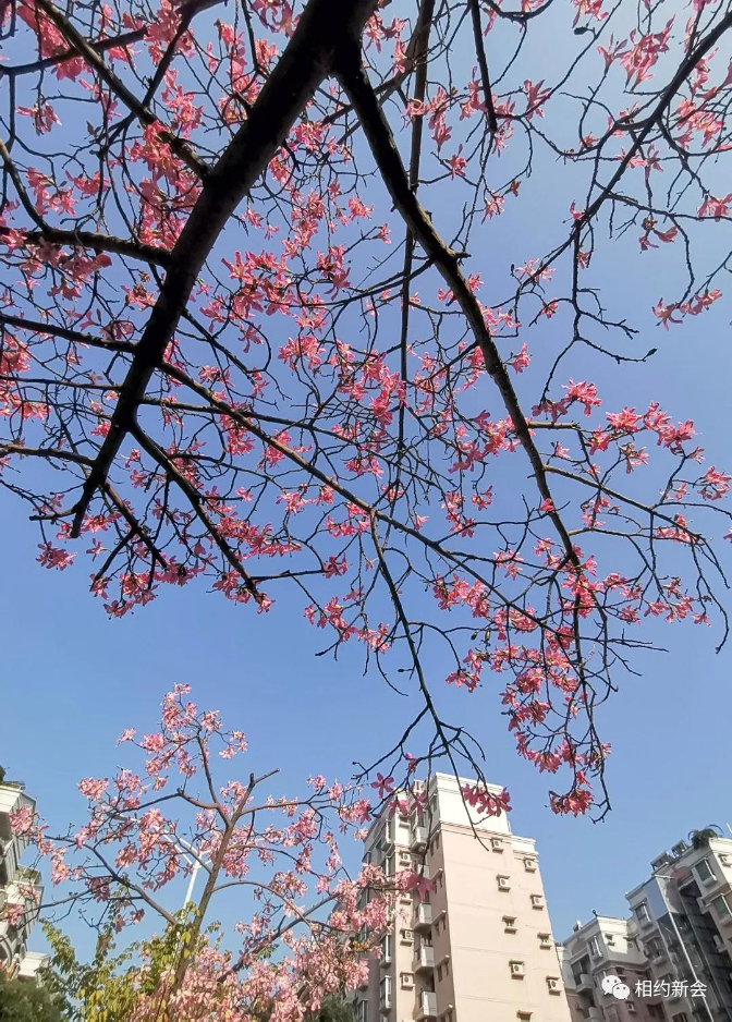 微信图片_20201218152331.jpg