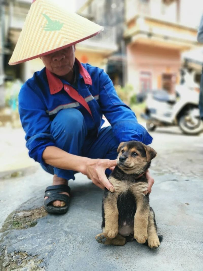 4_结果.jpg