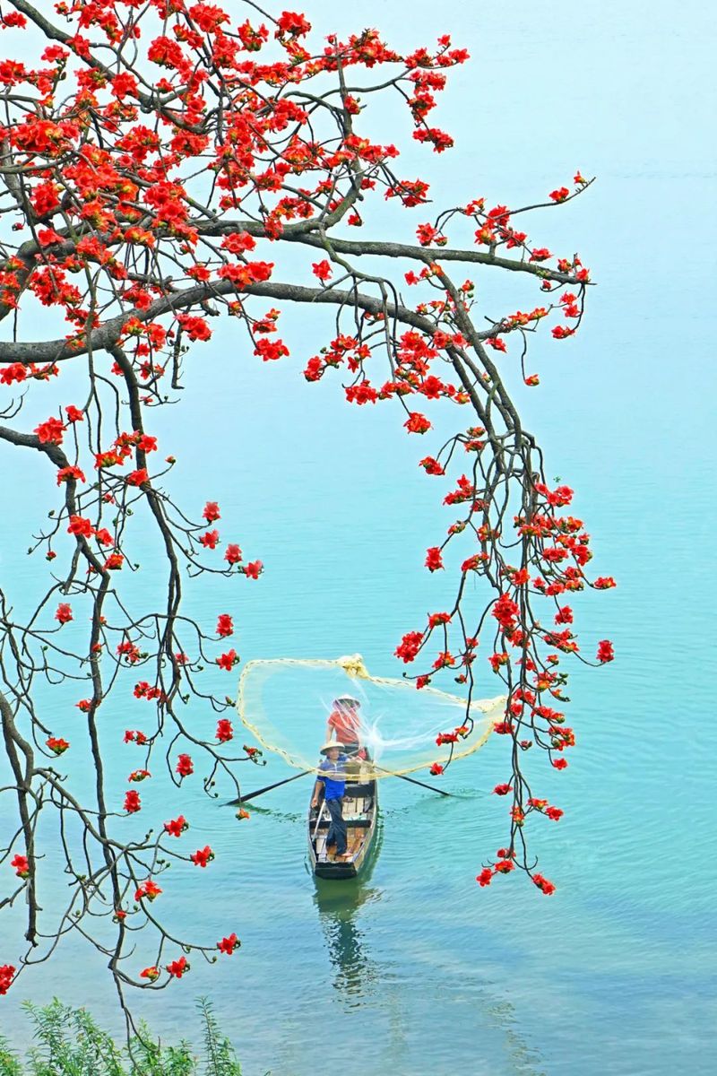 1_结果.jpg