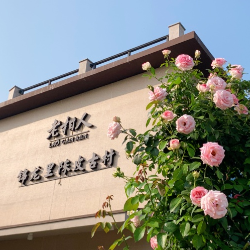 文章配图
