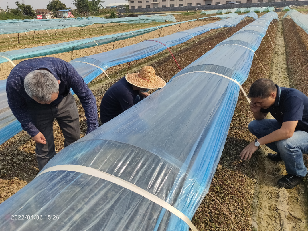 图片 10.png 图片