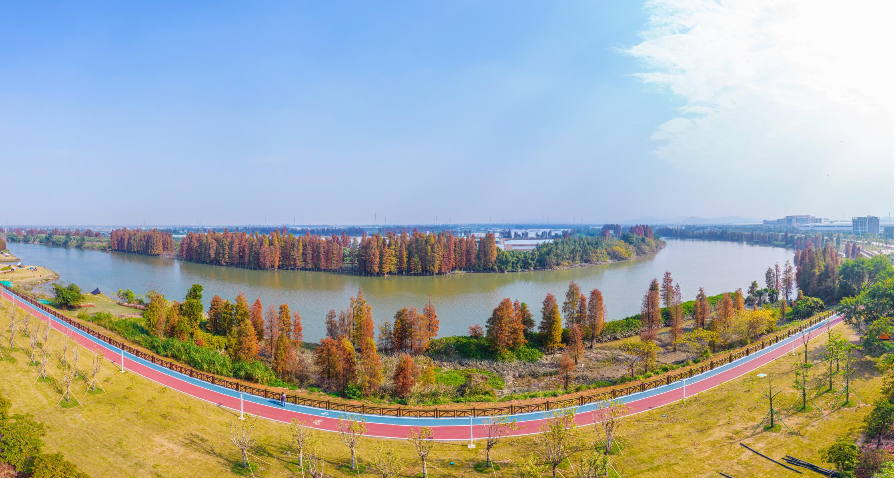 2022002总475）0118一段一品游江门碧道，真美预警！澳洲幸运5
碧道，太迷人了_5
