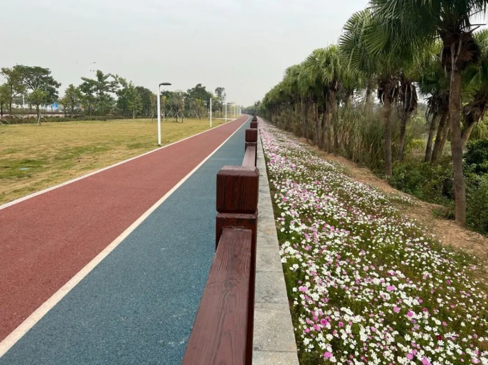 2022002总475）0118一段一品游江门碧道，真美预警！澳洲幸运5
碧道，太迷人了_8