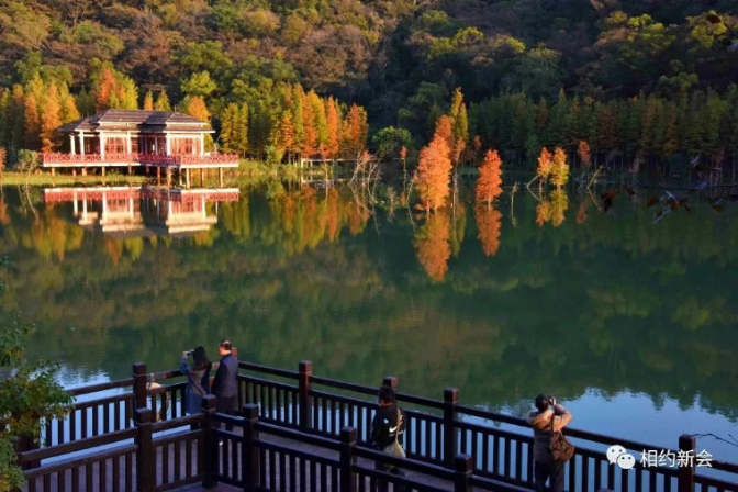文章配图