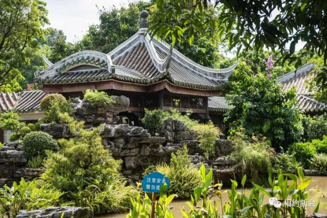 文章配图