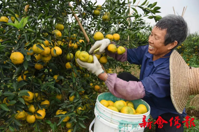 文章配图