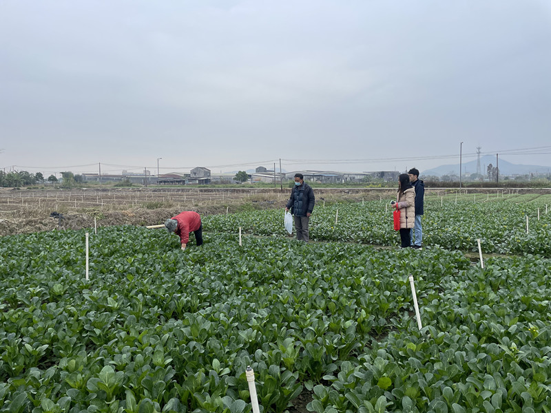 开展节前监督抽查 保障群众舌尖安全202401 (2)(1)_副本.jpg