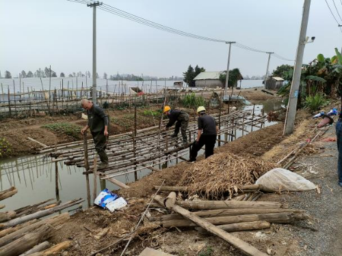 河长制简报（2024008总519）0409 迎接“大桥经济”  绿美水岸建设再掀新高潮.doc_7