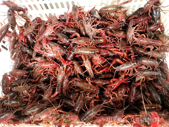 微信图片_20240507103813.jpg