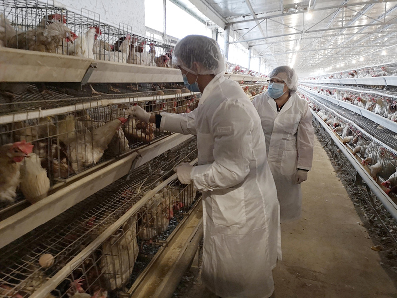 4.7 2024-_副本.jpg