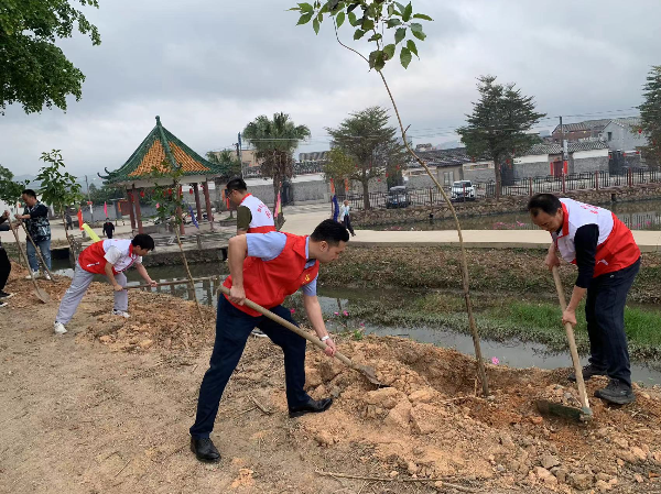 义务植树活动 (1).jpg