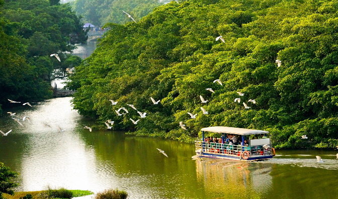 文章配图