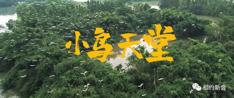 16_结果.jpg