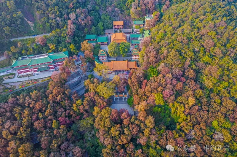 19_结果.jpg