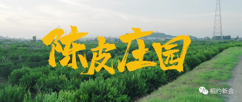 20_结果.jpg