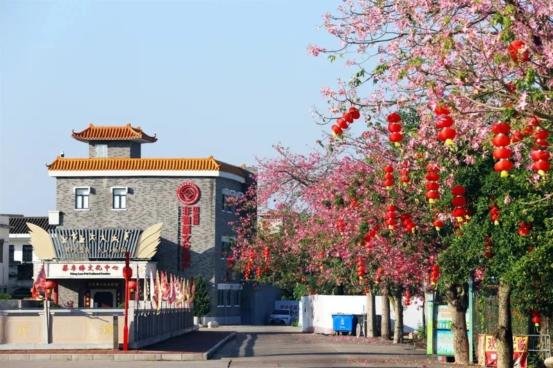 1_结果.jpg
