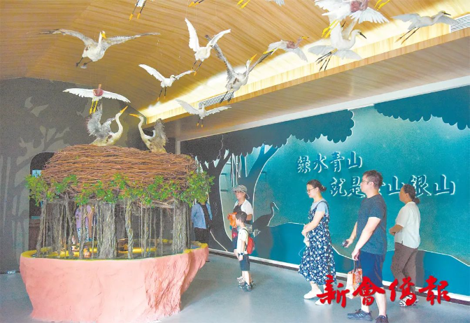 文章配图