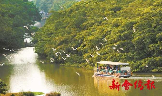 文章配图