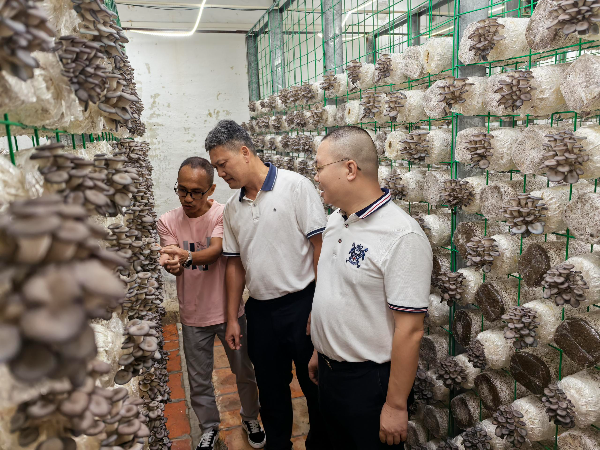 区发展改革局助推“百千万工程”加快建设(工作简报2024第52期).doc_2