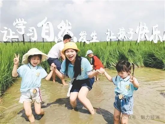 67481749662736891.jpg 67481749662736891.jpg